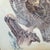 E. Darrell Smith Great Horned Owl Artist Proof, Signed For Sale - Image 12 of 12