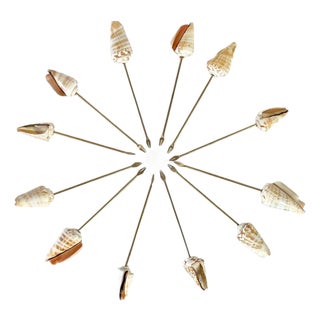 Vintage Set of 12 Conch Shell Charcuterie Skewers For Sale