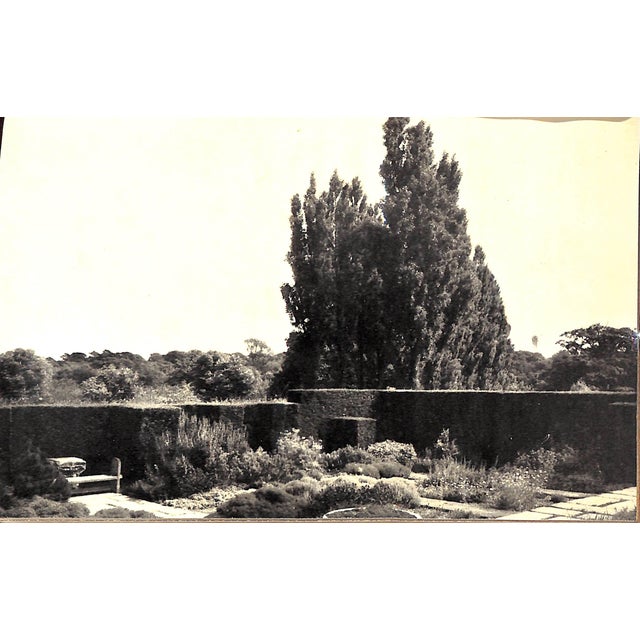 "In Your Garden Again" 1953 Sackville-West, V. For Sale - Image 9 of 10