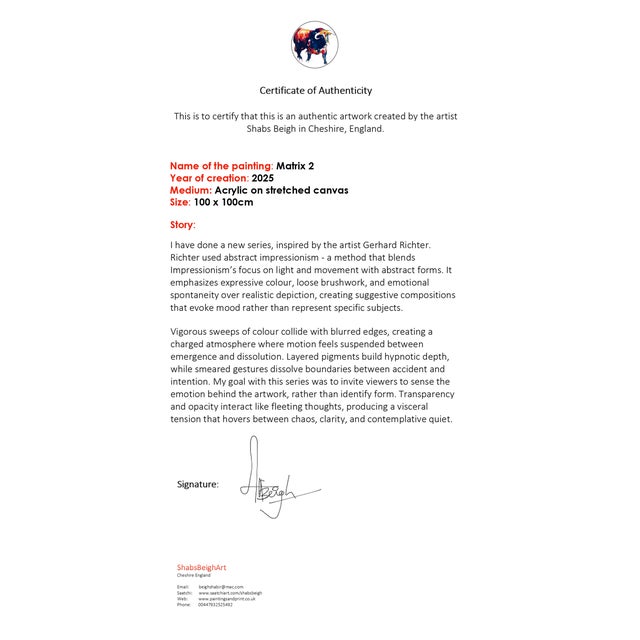 Matrix 2 Abstract Expressionism Acrylic Painting by Shabs Beigh For Sale - Image 6 of 6