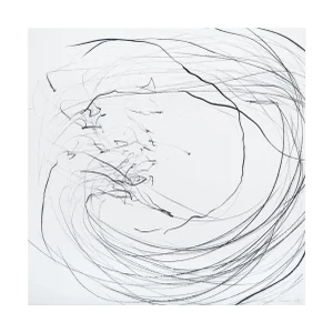 Jaanika Peerna "Small Maelstrom (Ref 854)", Drawing
