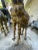 African 1970s Tall Painted Bronze Giraffe Statue 89” For Sale - Image 3 of 6