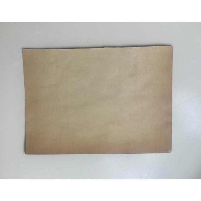 2020s “Fragmented Forest” Signed Original Collage by Nancy Smith For Sale - Image 5 of 5