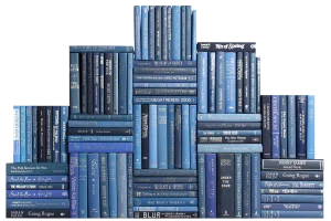 Decorative Books - Denim & Silver Book Wall - Set of 100 Blue Books