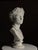 White Plaster Bust of Emperor Augustus For Sale - Image 8 of 18