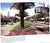"Miami Then and Now" 2002 Parks, Arva Moore & Klepser, Carolyn For Sale - Image 10 of 11