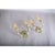 Vintage French Brass and Crystal Wall Sconces, 1940s, Set of 2 For Sale - Image 10 of 11
