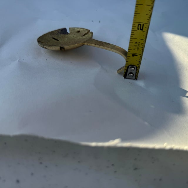 1970s 1970s Brass Sand Dollar Hook For Sale - Image 5 of 5