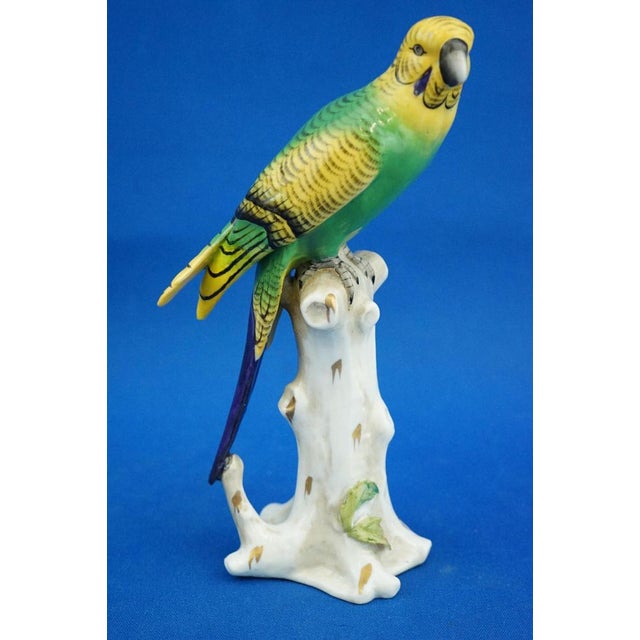 Ceramic Porcelain Sculpture of Parrot Figurine by Real Casa Ferdinandea or Ginori Doccia, Italy, 1700s-1800s For Sale - Image 7 of 18