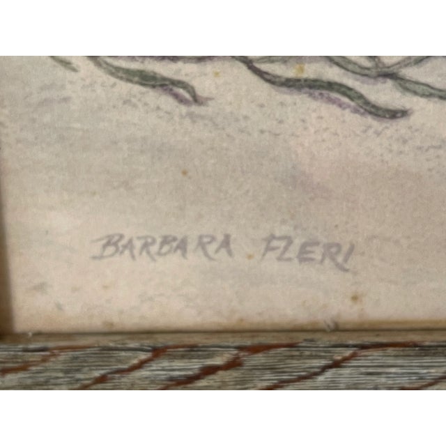 Coastal Coastal Boho Pair of Sea Shell Coloured Lithographs For Sale - Image 3 of 6