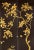 If you love the look of De Gournay wallpaper but not the price, this is for you. Black & Gold Chinoiserie Floral Mural |...
