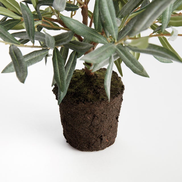 Kenneth Ludwig Chicago Olive Tree Drop-In 17.5" For Sale - Image 4 of 4