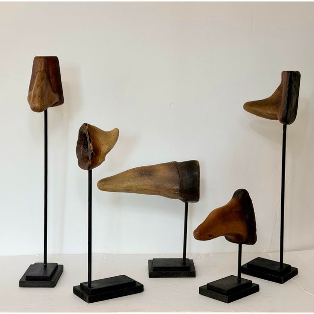 Wood Sculptural Mounted Cast Resin Anatomical Noses on Stands - Set of 5 For Sale - Image 7 of 7