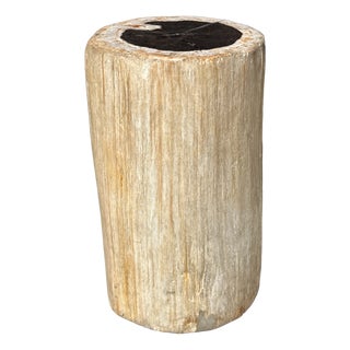 Side Table in Petrified Wood, Black Heartwood and White Bark, 1980s For Sale
