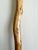 Natural Wooden Walking Stick, Rustic Hiking Staff/ Cane Twisted, T Handle 36” For Sale - Image 14 of 15