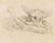 Etching on paper, realized by Bartolozzi in 1795 after Michelangelo Buonarroti. Crayon-manner, in black ink. The...
