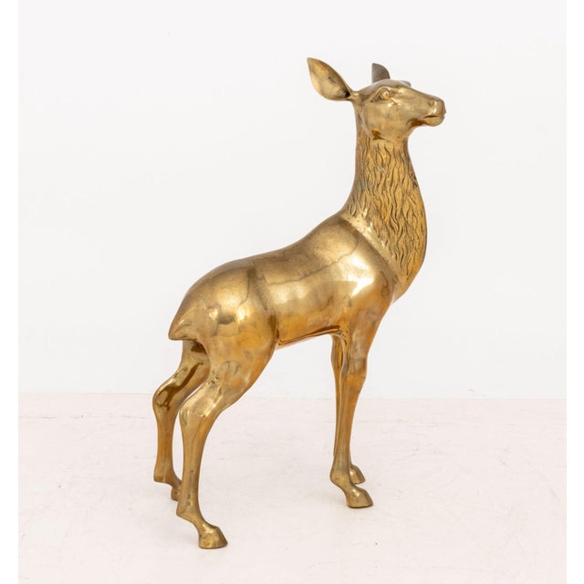 Hollywood Regency Pair of Stag and Doe Large Brass Sculptures For Sale - Image 3 of 11