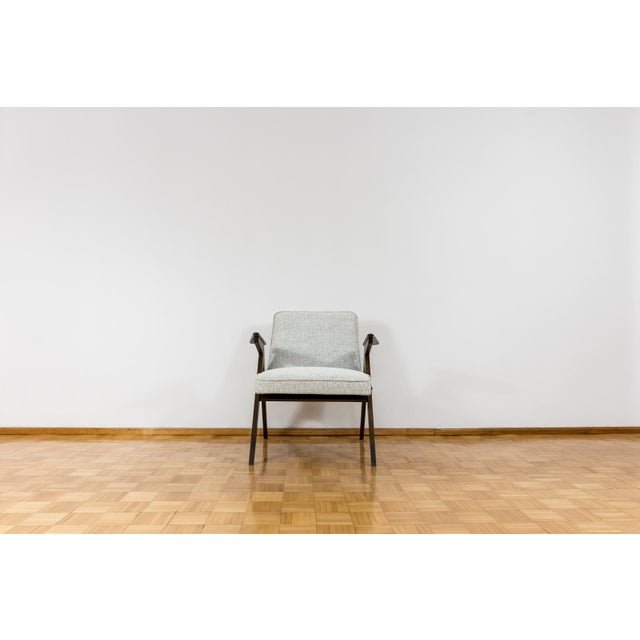 Model 300 177 Bunny Armchair, Poland, 1960s For Sale - Image 14 of 15