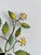 French Tole Painted Daisy Floral Wall Sconces, 1970, Set of 2 For Sale - Image 13 of 18