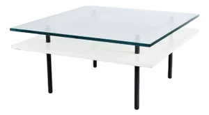 Coffee Table Produced in the Netherlands from Gebr. De Wit, 1950s