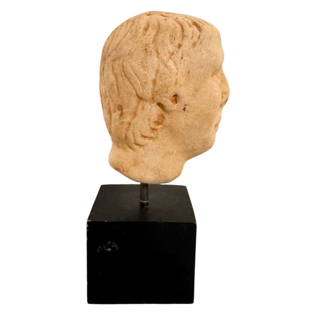 19th Century Italian Grand Tour Marble Bust For Sale In Austin - Image 6 of 12