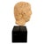 19th Century Italian Grand Tour Marble Bust For Sale In Austin - Image 6 of 12