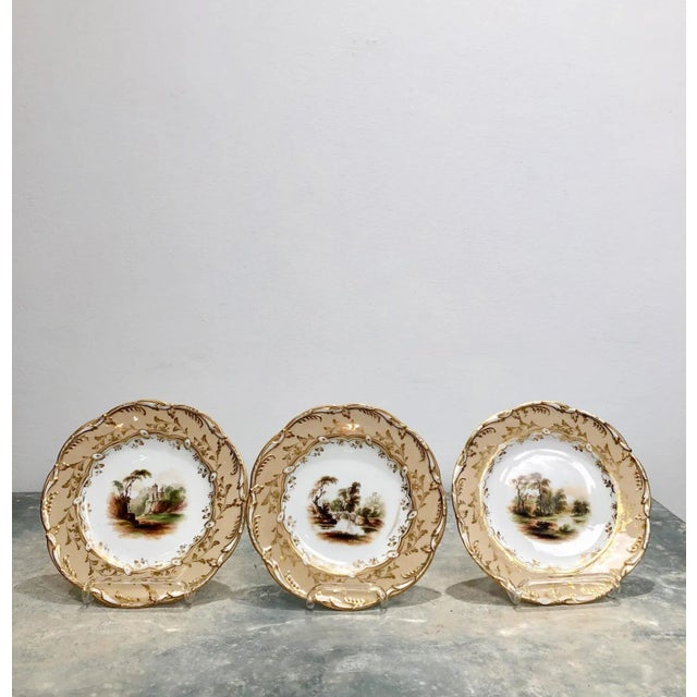 English 1825 English Ridgway Style Dessert Service - 17 Pieces For Sale - Image 3 of 11