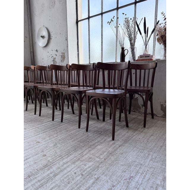 Brown Walnut Bistro Chairs, 1970s, Set of 14 For Sale - Image 8 of 18