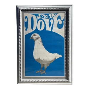 I'm a Dove Conscientious Objector Peace Poster, Original 1967 Print