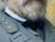 Oil Portrait General-in-Chief Robert E. Lee, Commander of the Armies of the Confederate States For Sale - Image 10 of 18