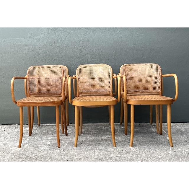 Mid-Century Modern Vintage Stendig Bent Wood Cane Dining Chairs - Set of 6 For Sale - Image 3 of 16
