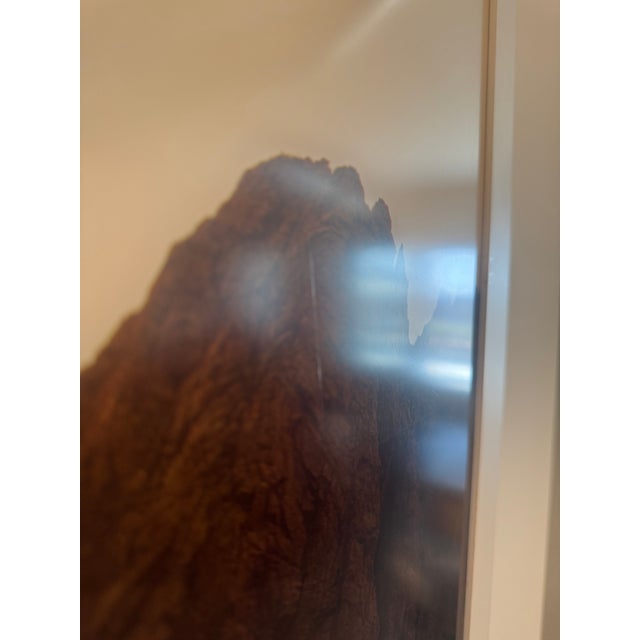Matthew Porter, Organ Mountains (2008), Archival Pigment Print, Edition 5/5 For Sale - Image 15 of 18