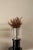 Contemporary Amphora Maxi Vase in Brushed Aluminum by Caspal For Sale - Image 3 of 8