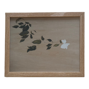 2024 Carolyn Misterek Giclee Print of White Flowers, Framed