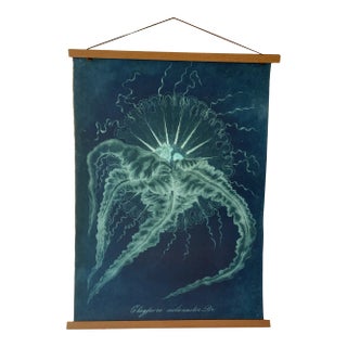 Original Vintage Natural Curiosities Sealife Print, Electric Blue and Green For Sale
