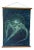 Original Vintage Natural Curiosities Sealife Print, Electric Blue and Green For Sale