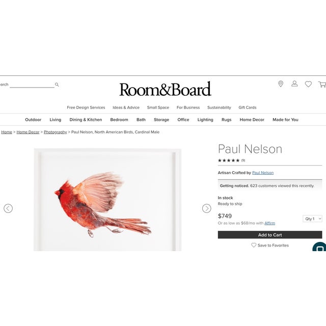 2010s Contemporary Paul Nelson Bird Art Photos (3) For Sale - Image 5 of 5