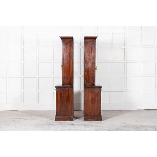 Brown 19th Century English Mahogany Glazed Cabinets, Set of 2 For Sale - Image 8 of 18
