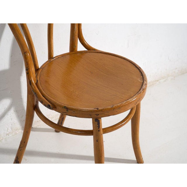 Antique Chairs from Thonet, Set of 2 For Sale - Image 6 of 10