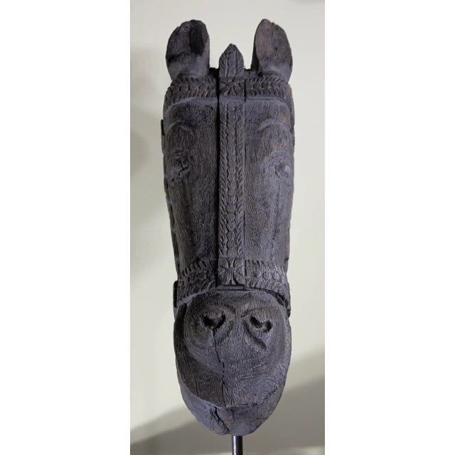 Magnificent Antique Indian Wood Horse Head Sculpture For Sale In Miami - Image 6 of 11