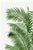 Paper Tropical Palm Botanical, Vintage Art Print Reproduction, 16" X 24" For Sale - Image 7 of 10