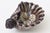 1960s Vintage Italian Coastal Glazed Ceramic Snail Bowl, Purple, Champagne, Off White, 1960's For Sale - Image 5 of 12