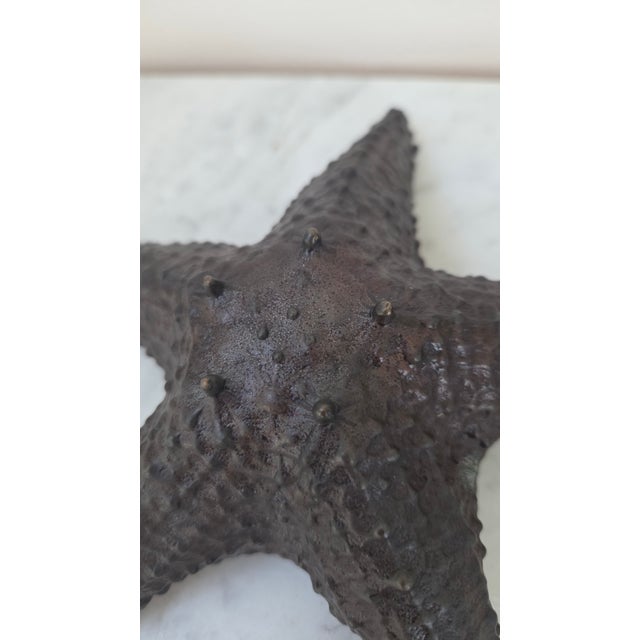 Late 20th Century Maitland-Smith Dark Patina Starfish Tabletop Sculpture For Sale - Image 17 of 17