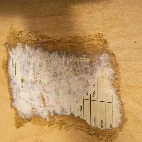 1950s Low Side Table from Tatra Pravenec, 1950s For Sale - Image 5 of 11