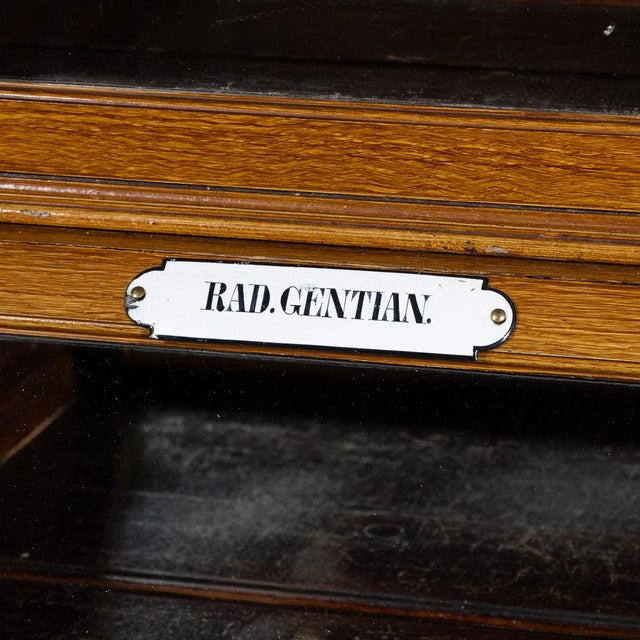 Antique 20th Century French Scumbled Pine & Glass Pharmacy Cabinet, 1900 For Sale - Image 13 of 16