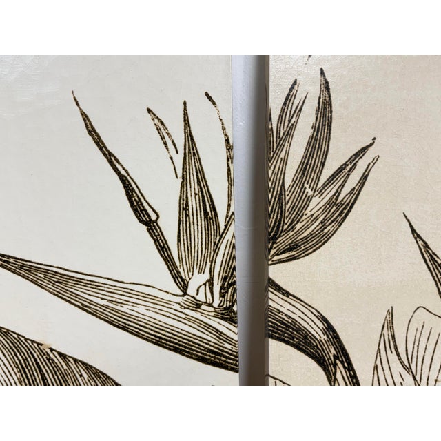 2010s Vision Studio Bird of Paradise Triptych Canvas Wall Art, Set of Three For Sale - Image 5 of 11