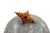 Gold Brooch with Diamond Chips For Sale - Image 5 of 6