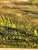 French 1970s Signed French Provençal Landscape Oil on Canvas by B. Latuberne, 24” X 18” For Sale - Image 3 of 4