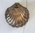 Vintage Silver-Plated Shell Butter Dish & Caviar Server With Frosted Glass Liner For Sale - Image 4 of 12