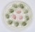 A stunning French faïence ceramic oyster platter. 12 oyster wells in soft hues of seaweed green and pink against a creamy...